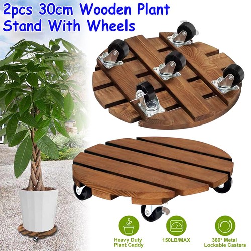 Pack 30cm inch plant - 2,