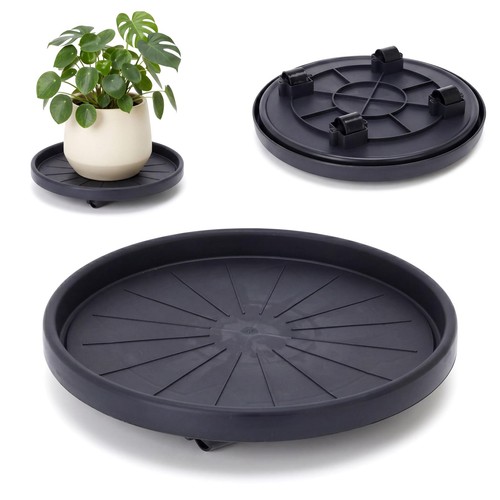 Round plant caddy - plant, with