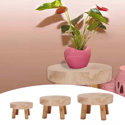 New wooden plant - wooden, flower