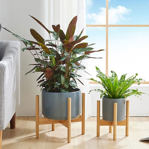 Bamboo wooden display - bamboo,
