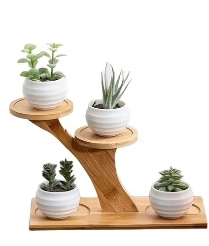 Tier bamboo plant - bamboo,